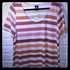 Agnes & Dora 2xl everyday tee bundle